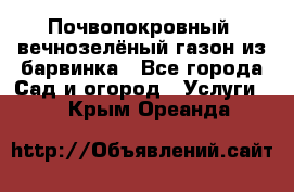 Почвопокровный, вечнозелёный газон из барвинка - Все города Сад и огород » Услуги   . Крым,Ореанда